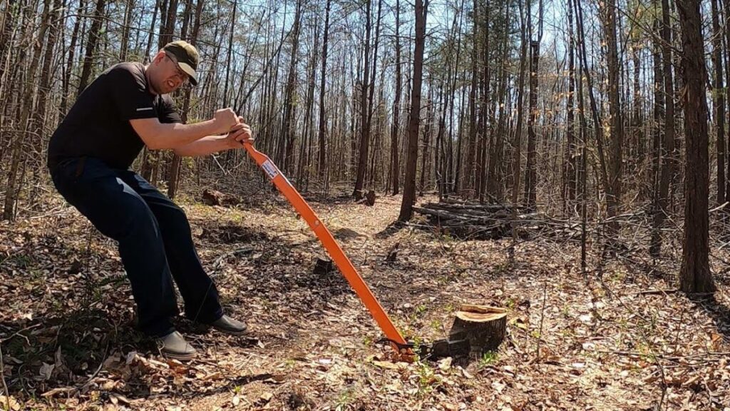 tree stump grinder